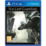 Alvorlig Anzai fire gange The Last Guardian (PS4) (6 butikker) • Se PriceRunner »