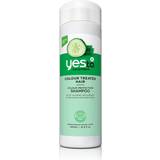 Yes To Fedtet hår Hårprodukter Yes To Cucumbers Colour Protection Shampoo 500ml