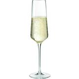 Leonardo Glas Leonardo Puccini Champagneglas 28cl 6stk