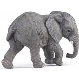 Papo Elefanter Figurer Papo Young African Elephant 50169