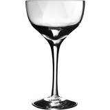 Sherry-/portvinsglas Kosta Boda Chateau Sherry-/portvinsglas 8cl
