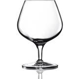 Luigi Bormioli Glas Luigi Bormioli Napoleon Cognac Glass Glas 39.5cl