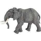 Papo Elefanter Figurer Papo African Elephant 50192