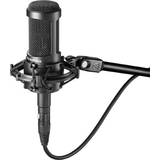 Strengeinstrument Mikrofoner Audio-Technica AT2050
