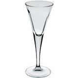 Glas Snapseglas Arcoroc Liquor Snapseglas 4.5cl