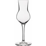 Glas Sherry-/portvinsglas Luigi Bormioli Atelier Sherry-/portvinsglas 8cl