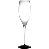 Riedel Sort Glas Riedel Sommeliers Black Tie Champagneglas 33cl