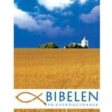 Bibelen på Hverdagsdansk - eBog Edition: Bibelen som Download (E-bog, 2011)