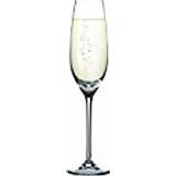 Tescoma Sommelier Champagneglas 21cl 6stk