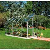 Sort drivhus Halls Greenhouses Popular 106 6.2m² Aluminium Glas