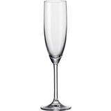 Leonardo Champagneglas Leonardo Daily Champagneglas 20cl 6stk