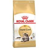 Royal canin maine coon Royal Canin Maine Coon Adult 2x10kg