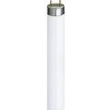 Philips Master TL-D HF Super 80 Fluorescent Lamp 16W G13 840