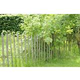 Claus Dalby Indhegninger Claus Dalby Chestnut Fence