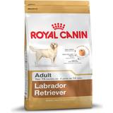Royal Canin Majs Kæledyr Royal Canin Labrador Retriever Adult 12kg