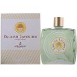 Atkinsons Herre Parfumer Atkinsons English Lavender EdT 620ml