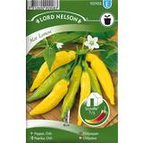Februar Frø Nelson Garden Chilipeber Hot Lemon 7 pack