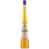 Galliano Vanilla 30% 70 cl