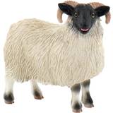 Bondegårde Legetøj Bullyland Scottish Blackface Sheep 62718