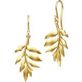 Julie Sandlau Rhodium Smykker Julie Sandlau Little Tree of Life Earrings - Gold