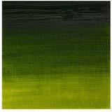 Winsor & Newton Artists Oil Color Sap Green 200ml