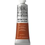 Brun Oliemaling Winsor & Newton Winton Oil Color Burnt Sienna 37ml