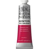Pink Oliemaling Winsor & Newton Winton Oil Color Permanent Rose 37ml