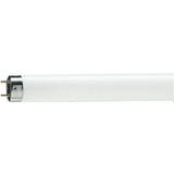 Philips Master TL-D 90 De Luxe Fluorescent Lamp 18W G13 950