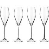 Le Creuset Glas Le Creuset Mousserande Champagneglas 29cl 4stk
