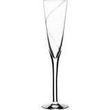 Anna Ehrner Glas Kosta Boda Line Champagneglas 15cl
