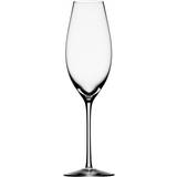Erika Lagerbielke Champagneglas Orrefors Difference Sparkling Champagneglas 32cl