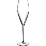 Krystalglas Champagneglas Luigi Bormioli Prosecco Champagneglas 27cl 2stk