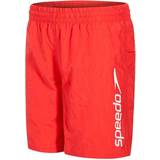 Speedo Bukser & Shorts Speedo Challenge 15" Shorts Jr