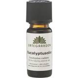 Massage- & Afslapningsprodukter Urtegaarden Eucalyptusolie 10ml
