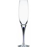 Blå Glas Orrefors Intermezzo Champagneglas 26cl