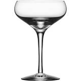 Erika Lagerbielke - Opvaskemaskineegnede Glas Orrefors More Coupe Champagneglas 21cl 4stk