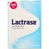 Mave & Tarm Håndkøbsmedicin Lactrase 30 stk Kapsel