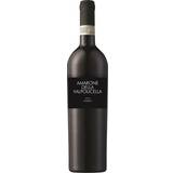 Amarone classico Cantine Lenotti Amarone 2012 Black Label Valpolicella Classico 15.5% 75cl