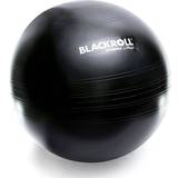 Blackroll Træningsbolde Blackroll Gymball 65cm