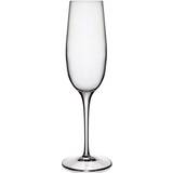 Champagneglas Luigi Bormioli Palace Champagneglas 23.5cl 6stk