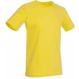 Stedman Gul - Kort ærme Tøj Stedman Morgan Crew Neck T-shirt - Daisy Yellow