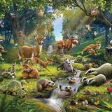 Gul Tapeter Walltastic Animals Of The Forest (43060)