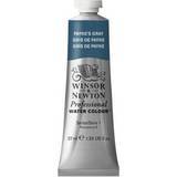 Winsor & Newton Professional Water Colour Payne's Gray 37ml