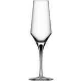 Erika Lagerbielke Champagneglas Orrefors Metropol Champagneglas 27cl