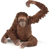 Figurer Schleich Orangutan Hun 14775