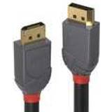 DisplayPort-kabler - Rød Lindy Anthra Line DisplayPort - DisplayPort 2m