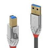 3,1 - Guld Kabler Lindy Cromo Line USB A-USB B 3.1 2m
