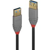 Lindy Rund - USB-kabel Kabler Lindy Anthra Line USB A-USB A 3.1 Gen.1 M-F 0.5m
