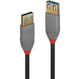Lindy 3.1 (gen.1) Kabler Lindy Anthra Line USB A-USB A 3.1 Gen.1 M-F 1m