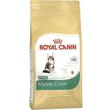 Royal Canin Maine Coon Kitten 0.4kg